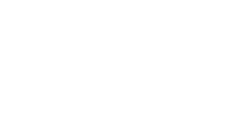 GAIDELIS
